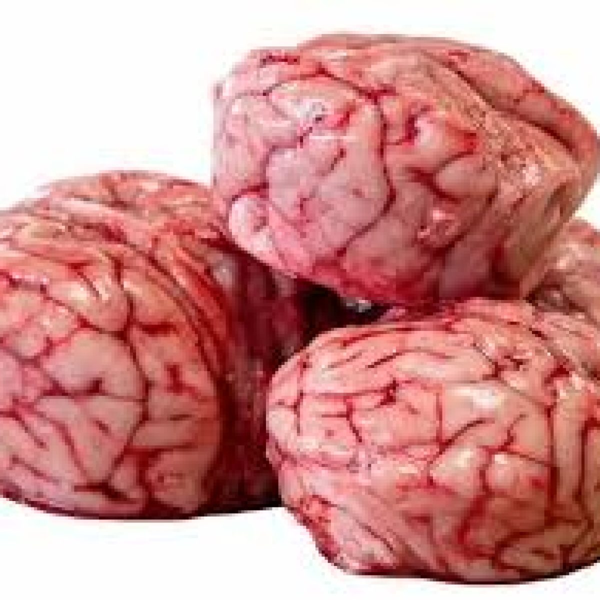 Frozen Pork Pituitary Glands