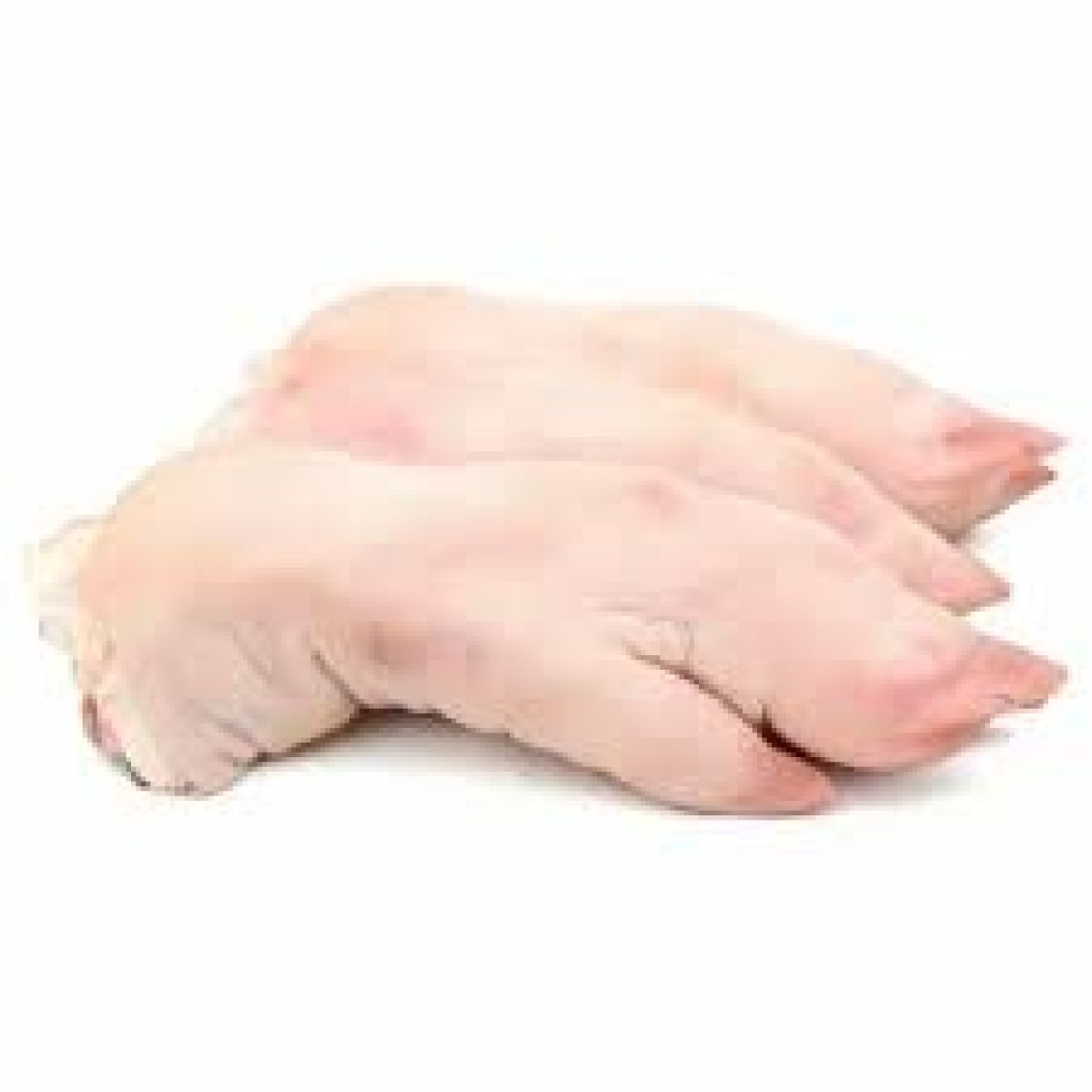 Frozen Pork Hind Feet