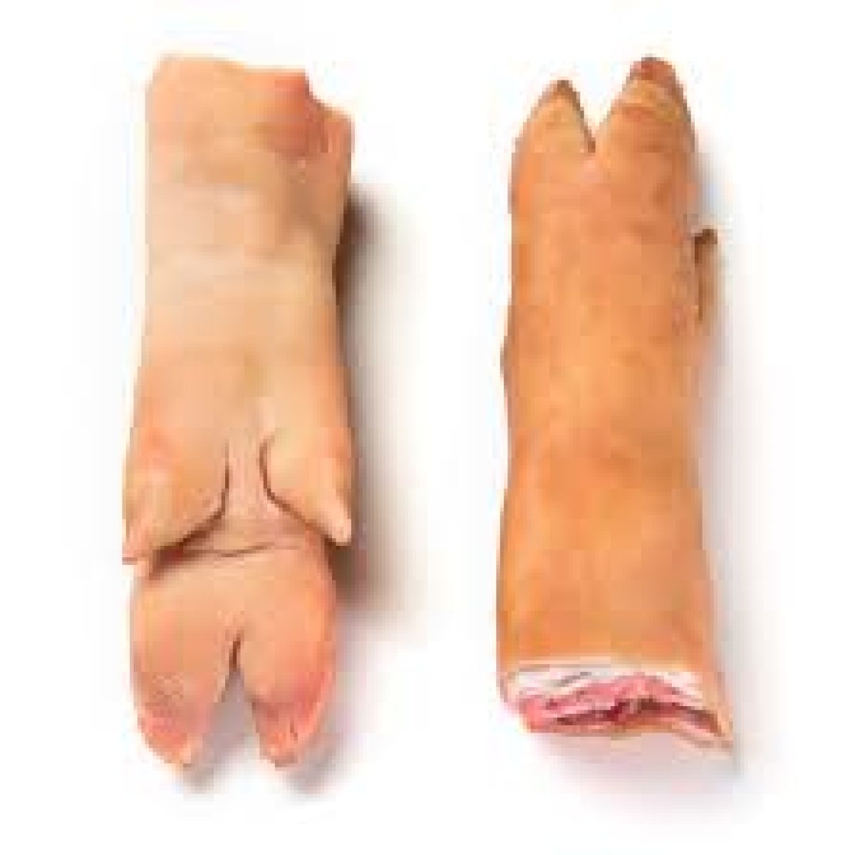 Frozen Pork Trotter (Fore Feet) Cut at First Joint
