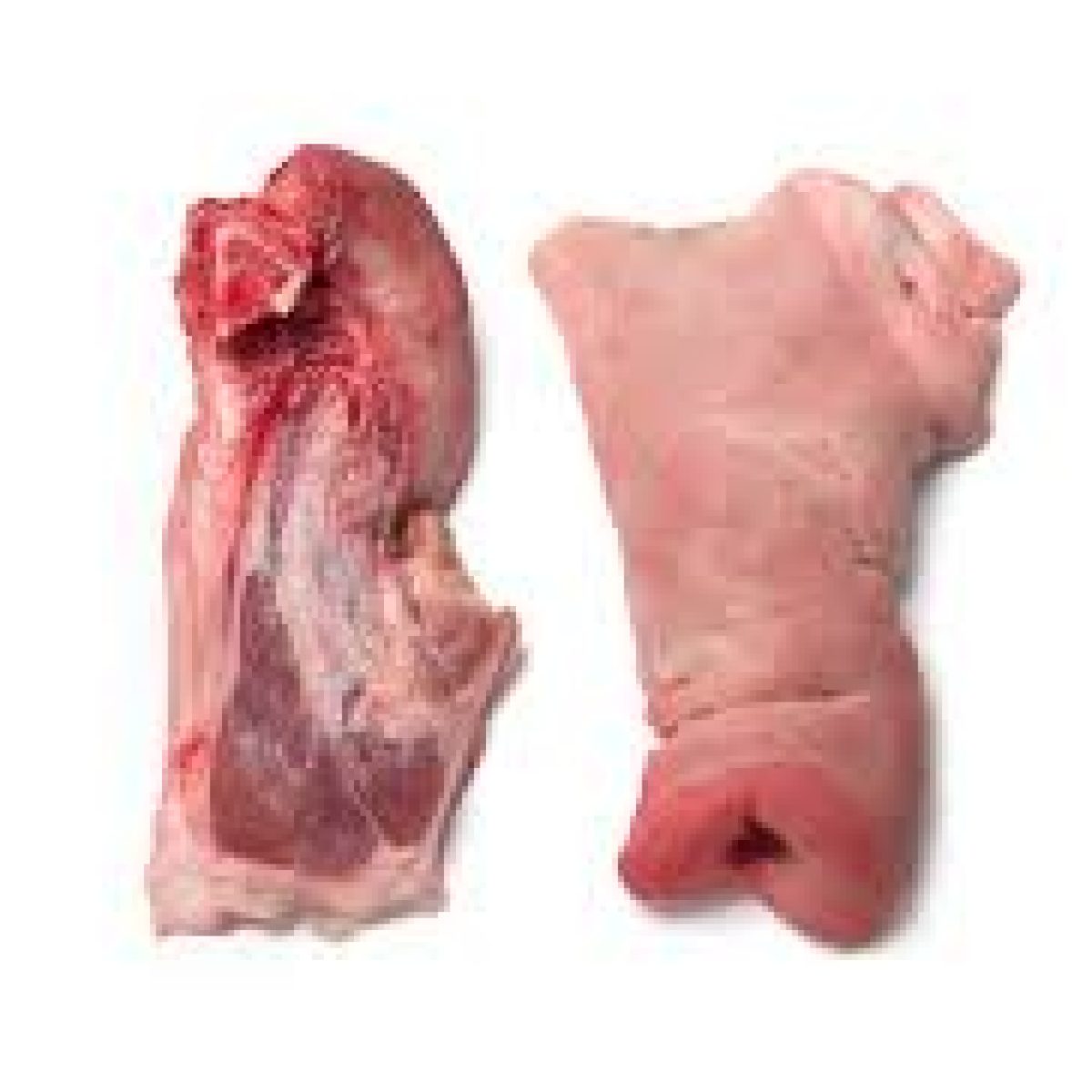 Frozen Pork Snout
